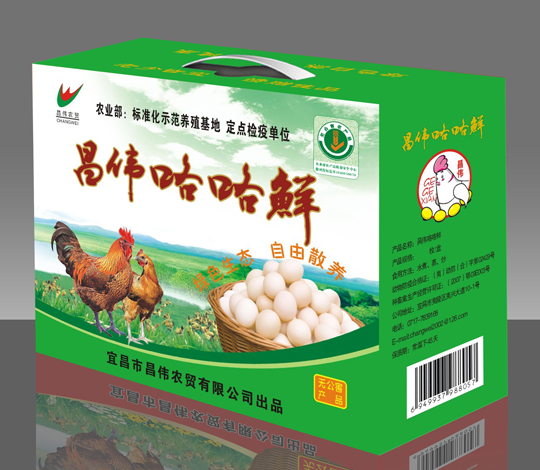 昌伟咯咯鲜效果图